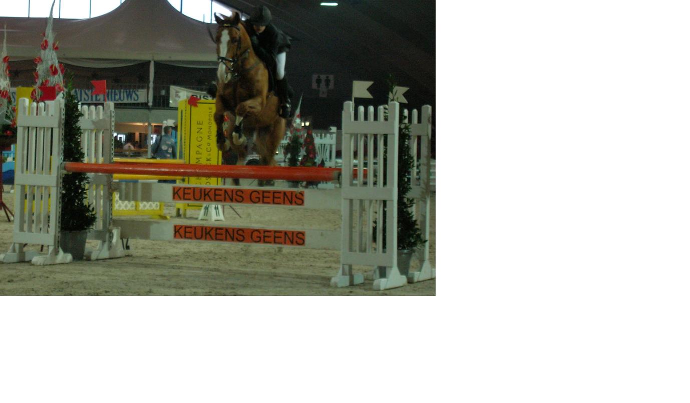 Photo de profil de cavalier67