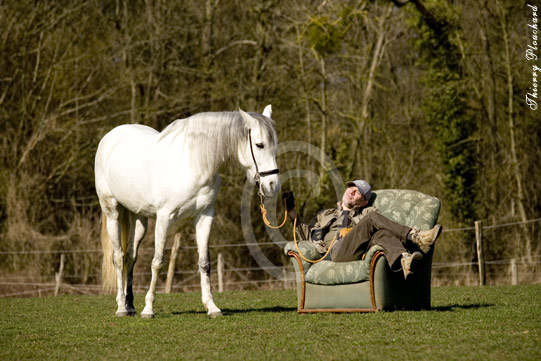 Photo de profil de cavalimage