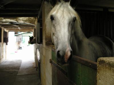 Photo de profil de ceco31