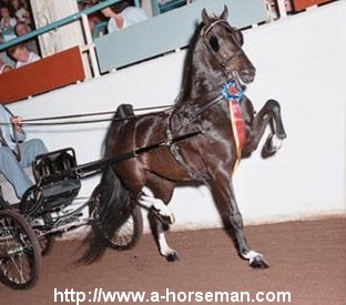 Photo de profil de celia973