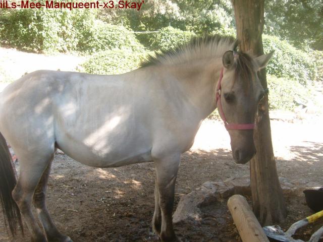 Photo de profil de cherchedada