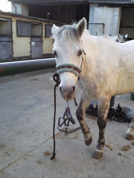 Photo de profil de chloedge