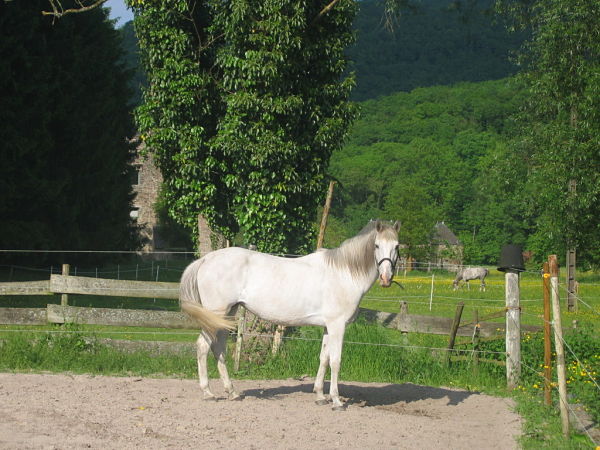 Photo de profil de cisca