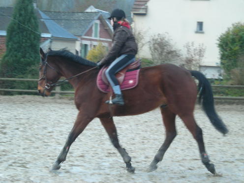 Photo de profil de cocokikikoo