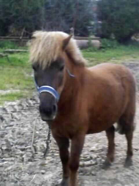 Photo de profil de coraildu22