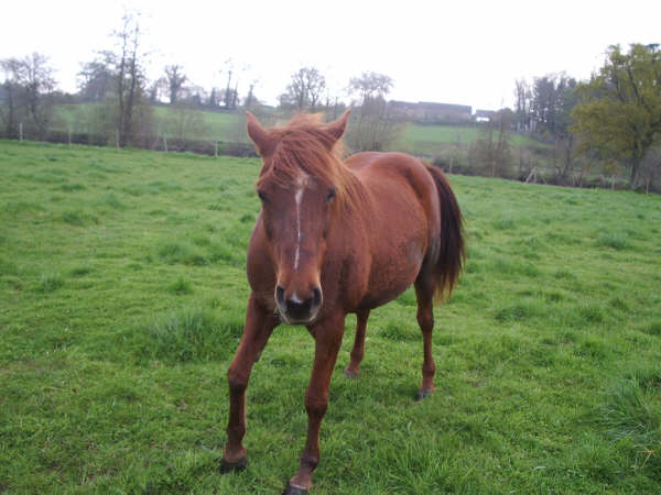 Photo de profil de cris53