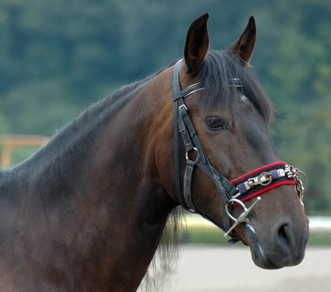 Photo de profil de danemark