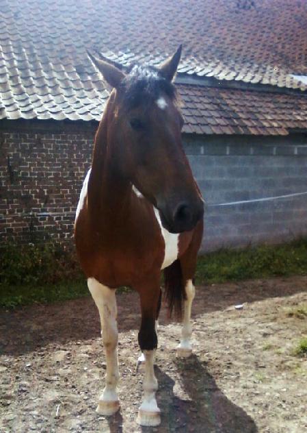 Photo de profil de dominatachan