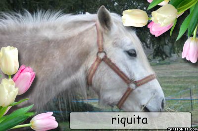 Photo de profil de edwige32800