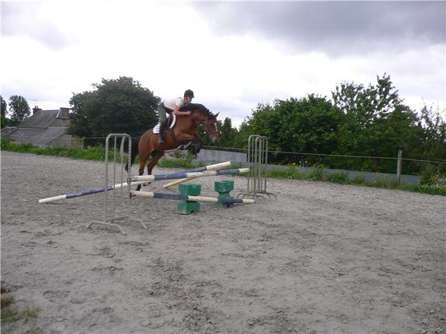 Photo de profil de elevagedetaille