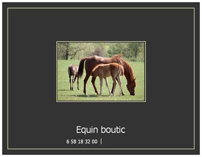 Photo de profil de equinboutic