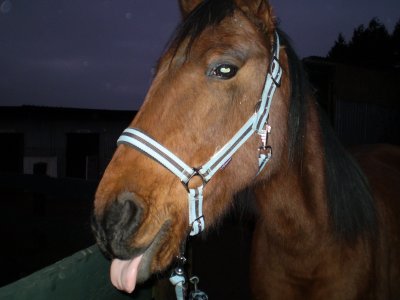 Photo de profil de fafa58710