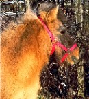 Photo de profil de flavierebotier