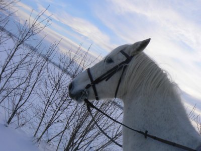 Photo de profil de funambule