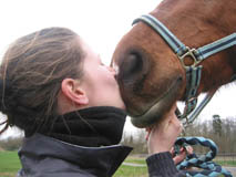 Photo de profil de guiltymind