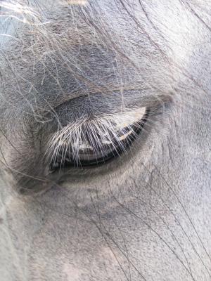 Photo de profil de hambo