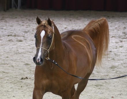 Photo de profil de helga11