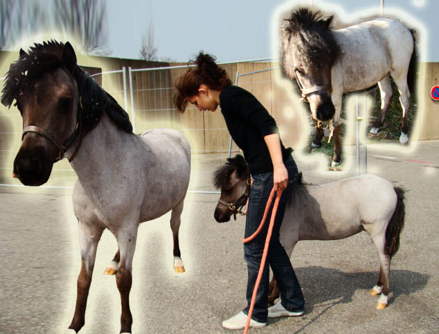 Photo de profil de hiidm3