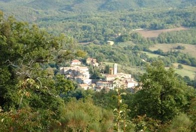 Photo de profil de horus2009