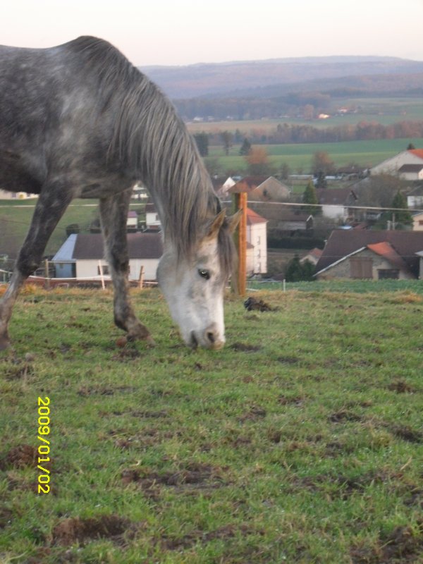 Photo de profil de hyda