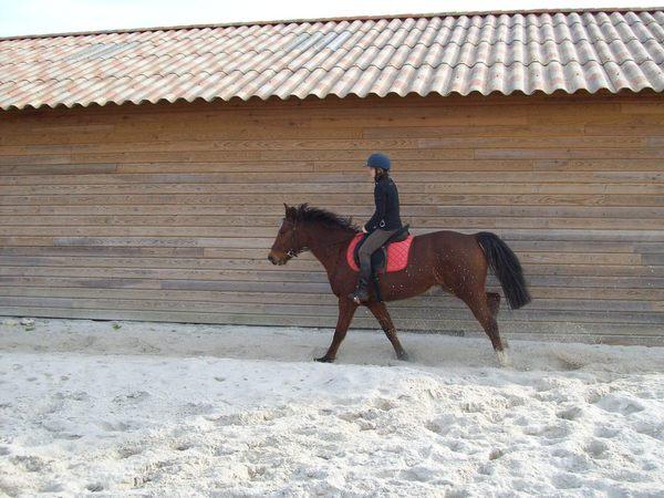 Photo de profil de jennifer73