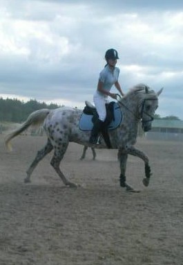 Photo de profil de jindy