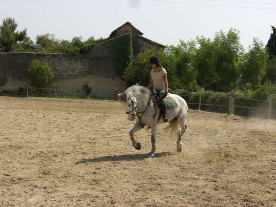 Photo de profil de jm-mon-cheval
