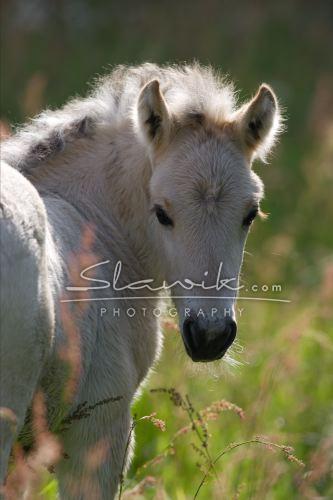 Photo de profil de joker-x3