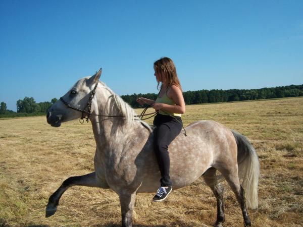Photo de profil de joyeocean