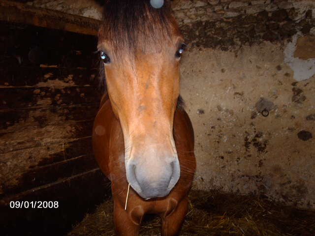 Photo de profil de julili04
