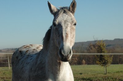 Photo de profil de kalinkadu24