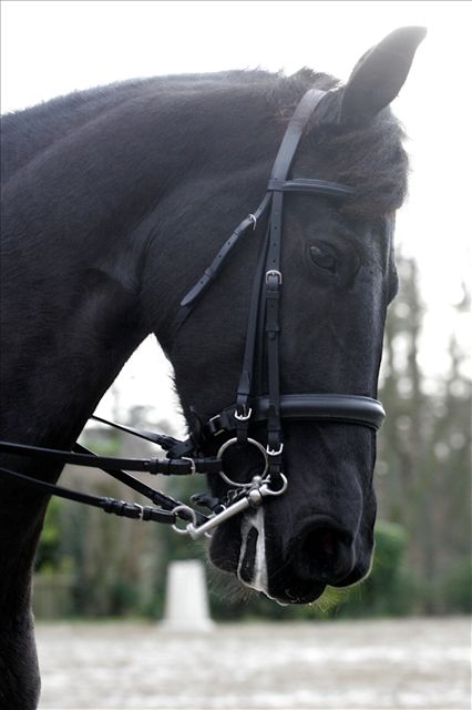 Photo de profil de karyn2911