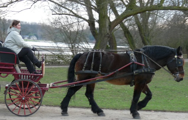 Photo de profil de kasba