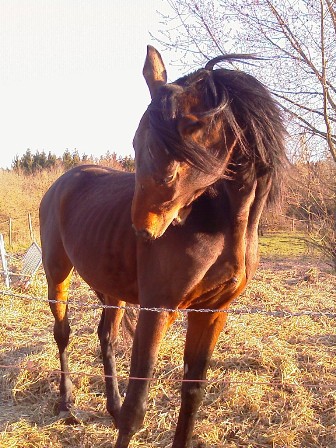 Photo de profil de lauraquat