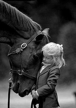 Photo de profil de lavillatte