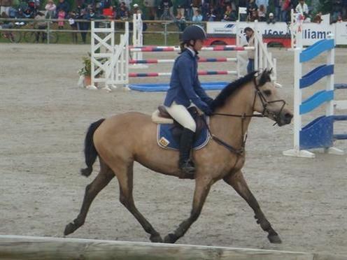 Photo de profil de loustic00