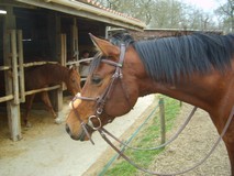 Photo de profil de lovedaril