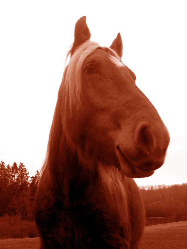 Photo de profil de lulu7