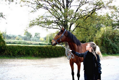 Photo de profil de maev06