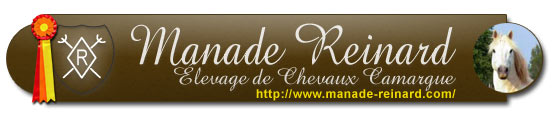 Photo de profil de manadereinard