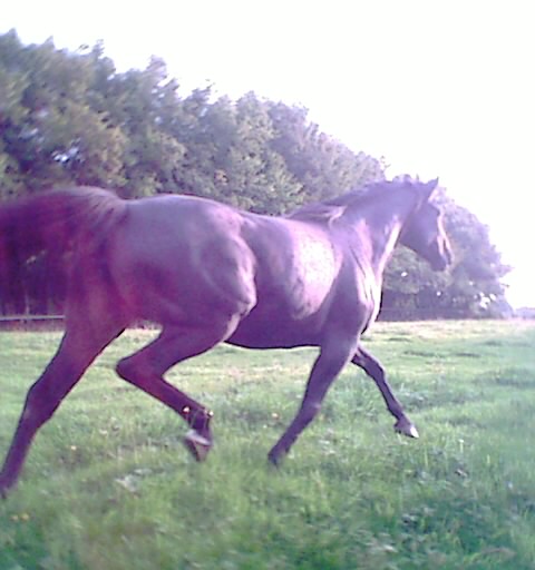 Photo de profil de mangareva