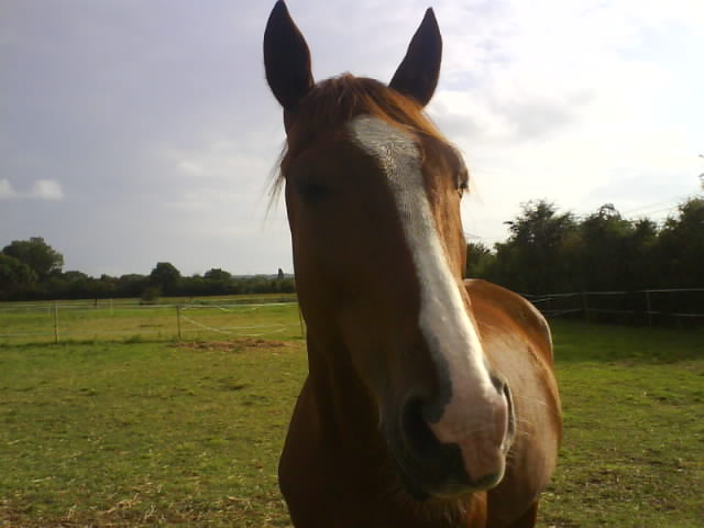 Photo de profil de manue95