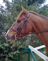 Photo de profil de mari_kinder
