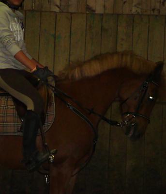 Photo de profil de maude57000