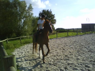 Photo de profil de mauraneza