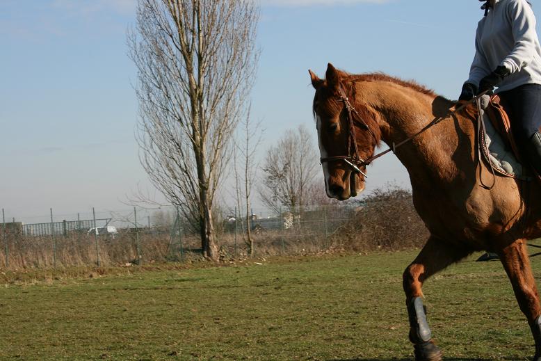 Photo de profil de maxxx