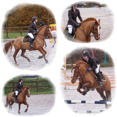 Photo de profil de mes3poneys