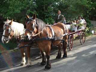 Photo de profil de mica11500