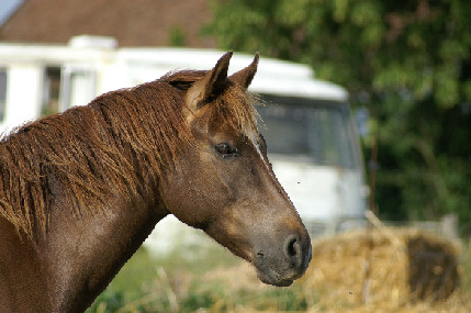 Photo de profil de milenium