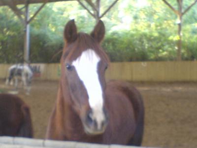 Photo de profil de missemir125